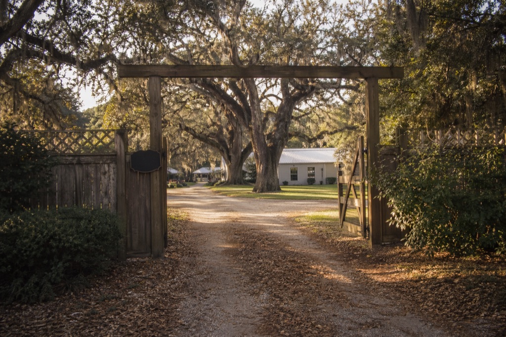 An open wooden community gate framed by a massive live oak with Spanish moss arching above; gravel path leading inward; a small unreadable sign on the left post; late afternoon light.