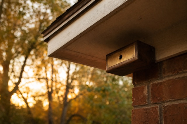 A weather-resistant outdoor device mounted under the eaves, walnut wood and matte brass, a single tiny pinhole camera.